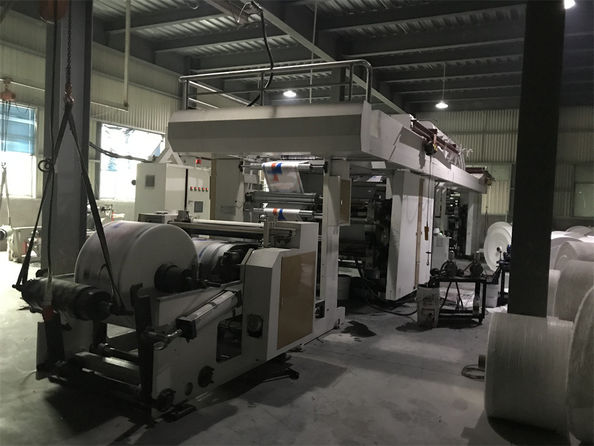 Yiyang Wanlin Weave Packing Co., Ltd. 공장 생산 라인