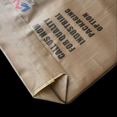 20kg-50kg 시멘트 및 석고 분말용 방습 PP 밸브 백 (열 밀봉)