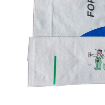 20kg-25kg Capacity PP Woven Valve Bag with BOPP Printing for Tile Adhesive Powder and Construction Materials