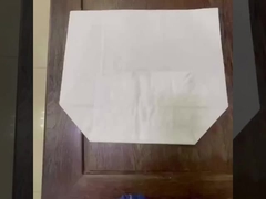 4-플라이 강화 된 반 펑크 듀리안 포장용 종이 봉지